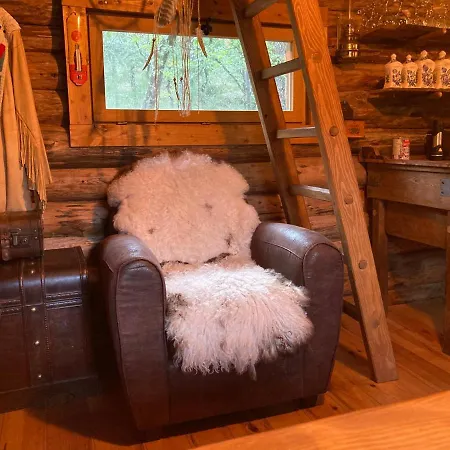 Chez Buddy - Cabane De Trappeur Peaugres Exterior foto