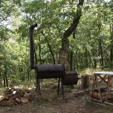 Chez Buddy - Cabane De Trappeur Peaugres Exterior foto