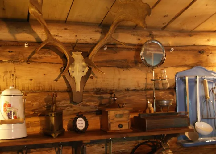 Chez Buddy - Cabane De Trappeur