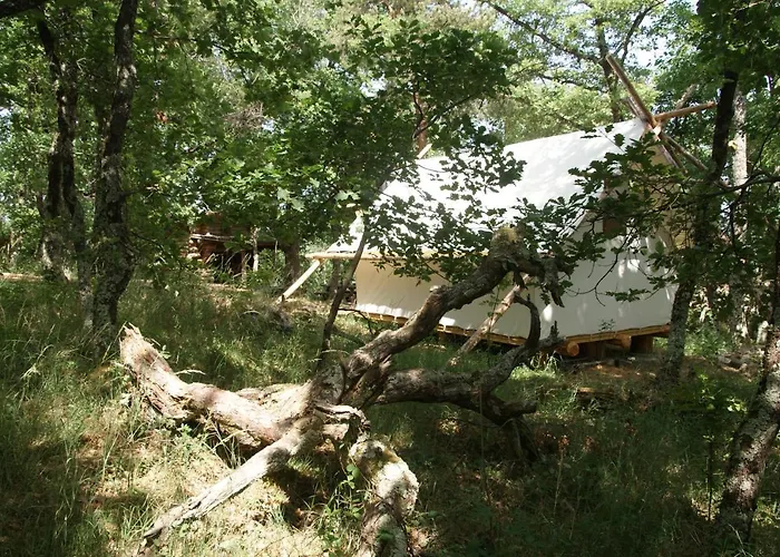 Chez Buddy - Cabane De Trappeur