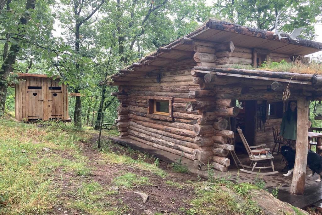 Chalet Chez Buddy - De Trappeur