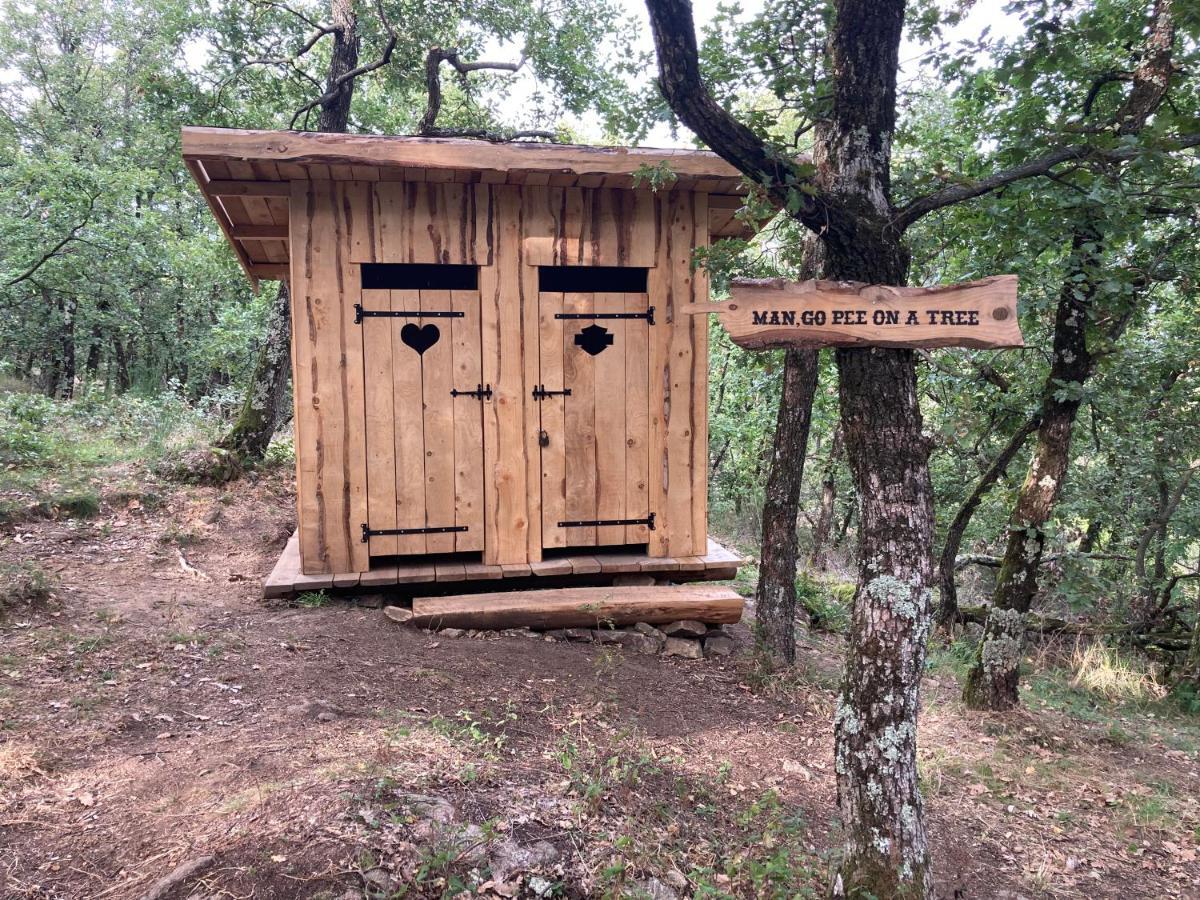 Chez Buddy - De Trappeur