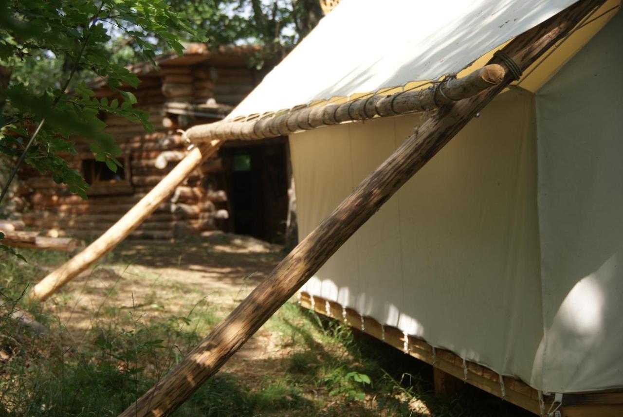 Chez Buddy - De Trappeur Chalet