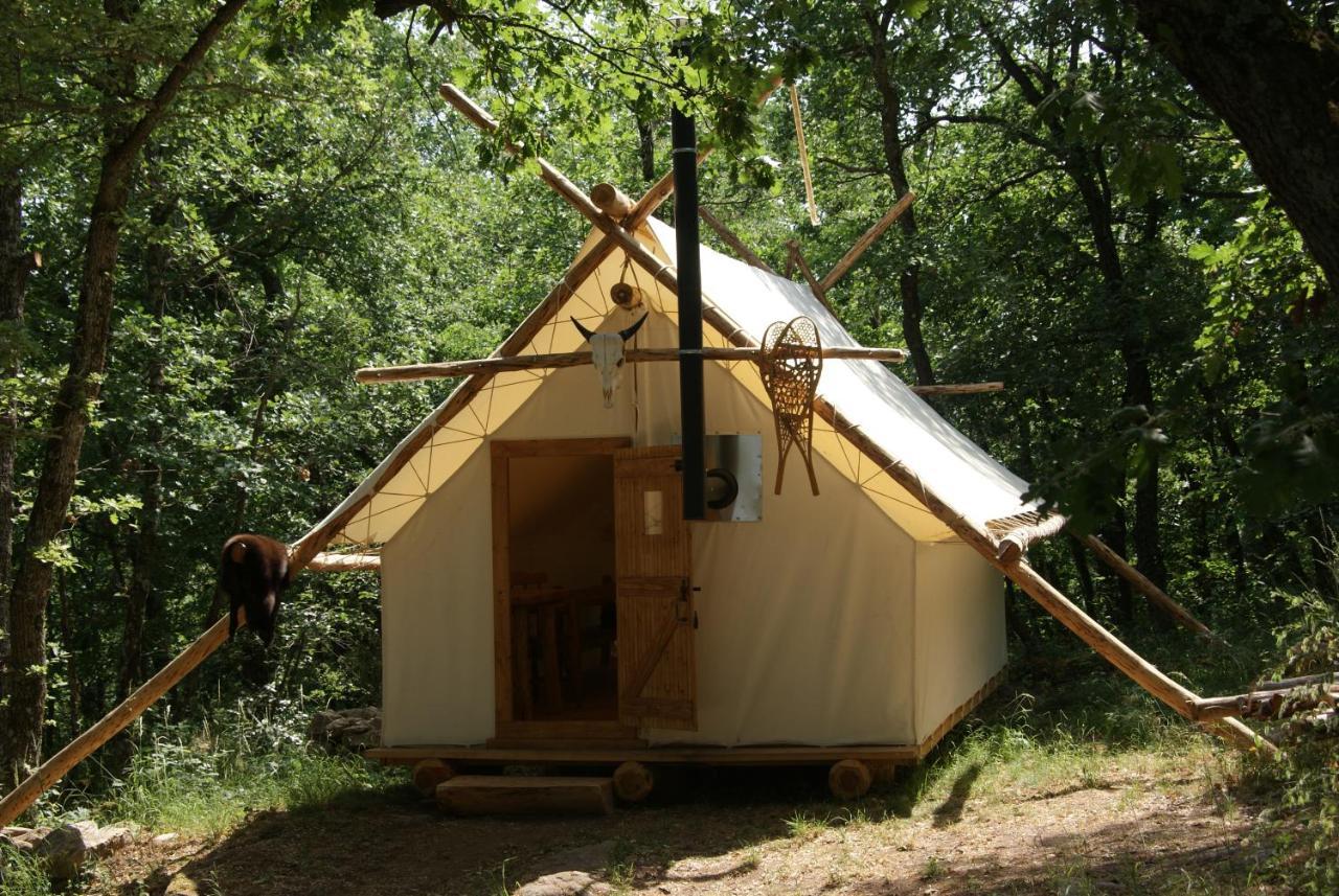 Chez Buddy - De Trappeur Chalet
